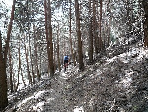 Sendero Sulayr