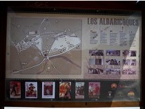Los Albaricoques