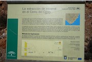 Goldmine Cerro del Cinto