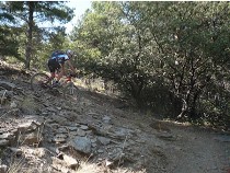 Sendero Sulayr