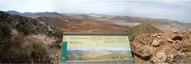 Blick auf die Felder des Cortijo del Fraile