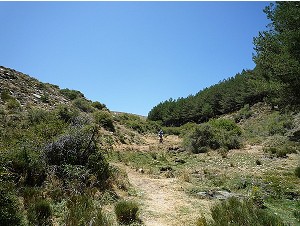 Sendero Sulayr