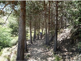 Sendero Sulayr