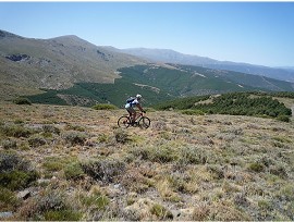 Sendero Sulayr
