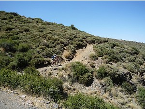 Sendero Sulayr