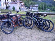 Drei Gemsen verabschieden ihren vierten Bruder