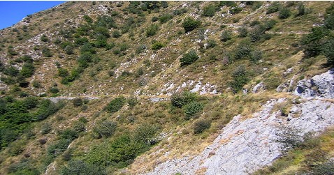 Am Hang entlang zum Passo Muratone